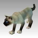 Siamese small pet from WoW