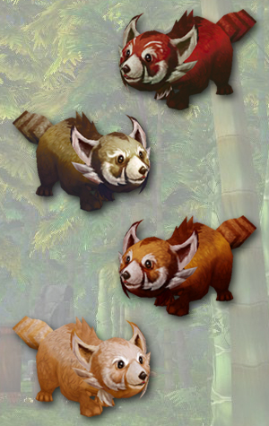 Red Panda, Mountain Panda, Sunfur Panda, Snowy Panda