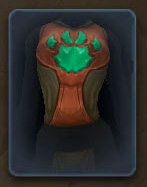 Master Trainer's Tabard