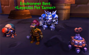 Environeer Bert and his team of Mechanical pets