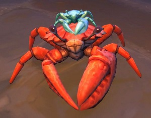 Crab riding on Cranky Crab