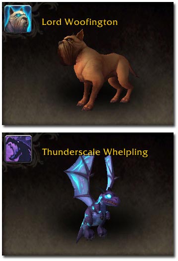 Lord Woofington and Thunderscale Whelpling