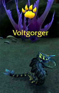 Nazjatar legendary boss pet