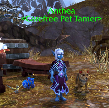 Anthea pet trainer