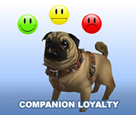 Companion Loyalty