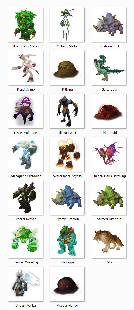 5.3: New Battle Pets Preview