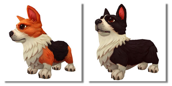 Corgi pet model