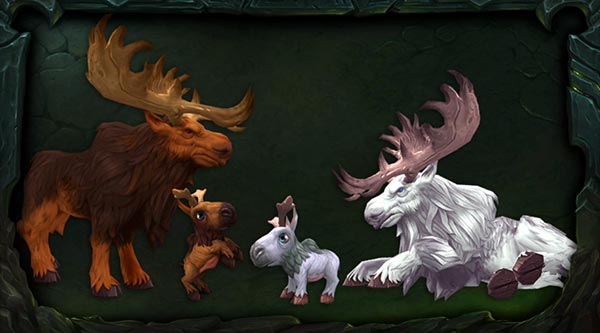 Moose calves in Legion