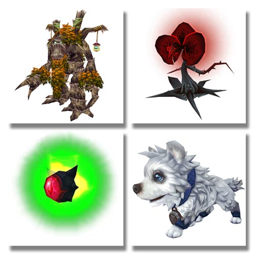 Order Hall pets