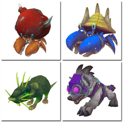 11.1 new pet models