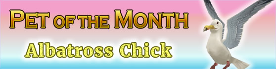 Albatross Chick - Pet of the Month June 2017