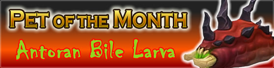 Antoran Bile Larva - Pet of the Month October 2017