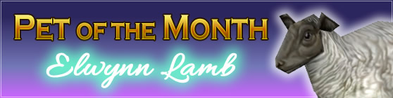 Elwynn Lamb - Pet of the Month March 2016