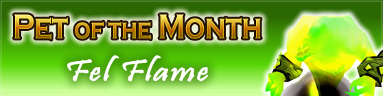 Fel Flame — Pet of the Month