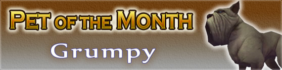 Grumpy - Pet of the Month February 2018