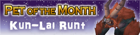 Kun-Lai Runt - Pet of the Month December 2016