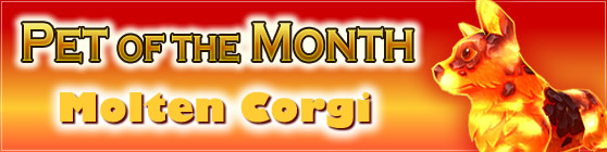 Molten Corgi — Pet of the Month
