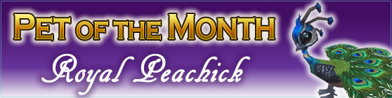 Royal Peachick - Pet of the Month May 2018