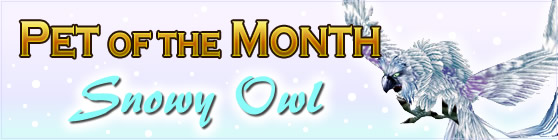 Pet of the Month: Snowy Owl