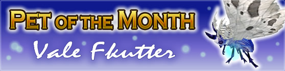 Vale Flitter - Pet of the Month January 2018