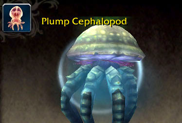 Plump Cephalopod