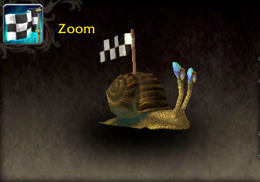 Zoom pet