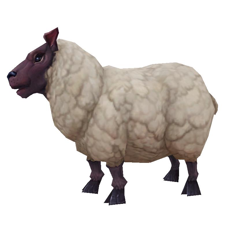 Updated sheep model