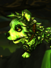 Fel Pup