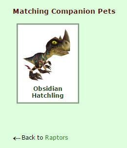 Matching Companion Pet