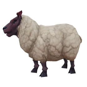 Elwynn Lamb