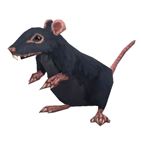 Rato Gigante de Esgoto - Item - WotLK Classic