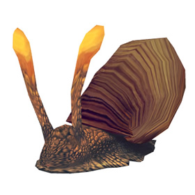 Silkbead Snail