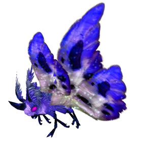 Royal Moth