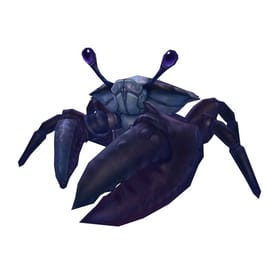 Sapphire Crab