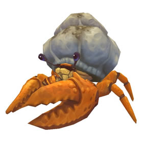 Shack Crab