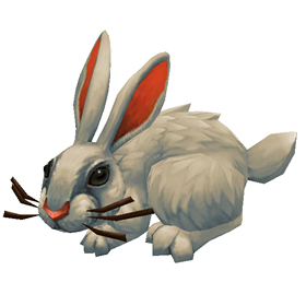 Snowshoe Rabbit