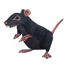Undercity Rat