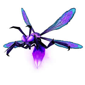Violet Firefly