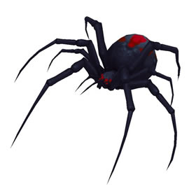 Widow Spiderling