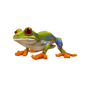 Yellow-Bellied Bullfrog