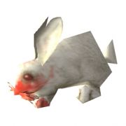 Darkmoon Rabbit