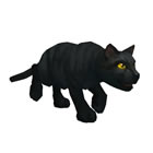 Bombay Cat