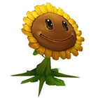 Singing Sunflower