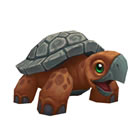 Darkmoon Turtle