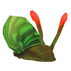 Scooter the Snail Scooter the Snail