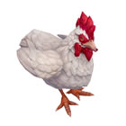 Westfall Chicken