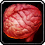 Intact Chicken Brain