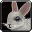 Olivetail Hare