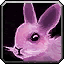Noblegarden Bunny